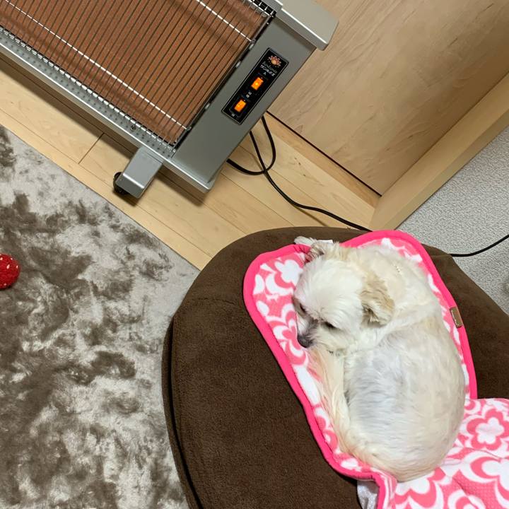 D910cb91 40cd 482b 9c66 b63ab6883036 1604056603332