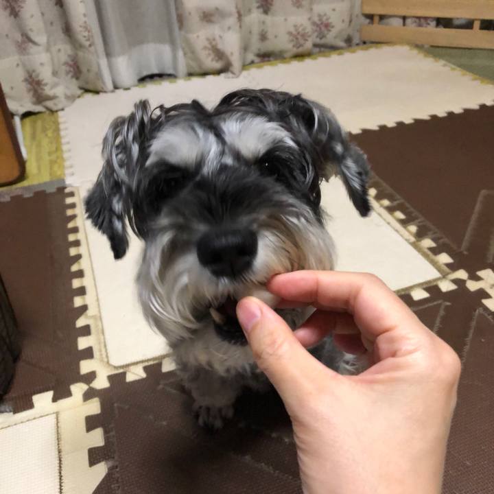 D910db30 a664 437b 85c4 c9a49cf89928 1662035212737