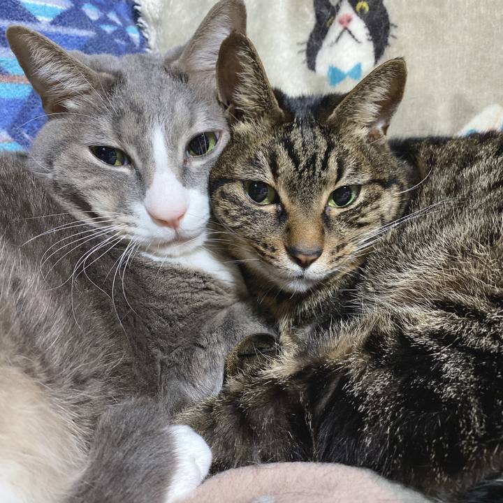 D910ea68 e857 4b75 8f26 d04e44b8bf68 1640213611980