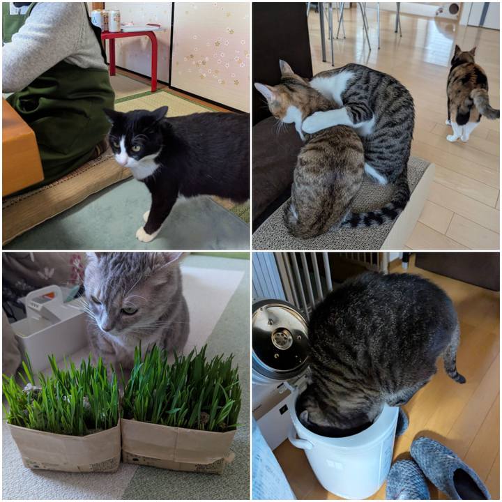 D9111bc8 b817 4165 a342 022a141dd942 1736048912618