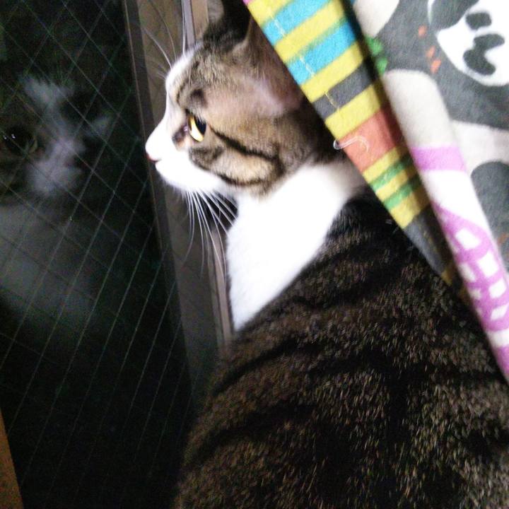 D91158d9 9319 4669 b0da c57d8786c16d 1651758932441