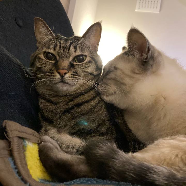 D9117696 eac0 49c7 b313 9c73e5af90eb 1634646223261