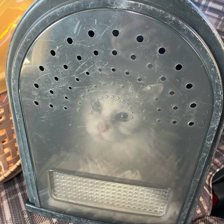 D9117eaa d0d1 48af b989 e0c8af720a88 1576247228717