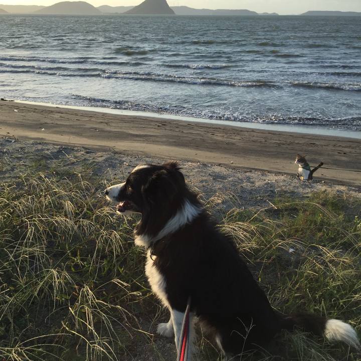 D911bd32 c8b0 4113 b7ef 0f2e88f5d3ee 1538382266195