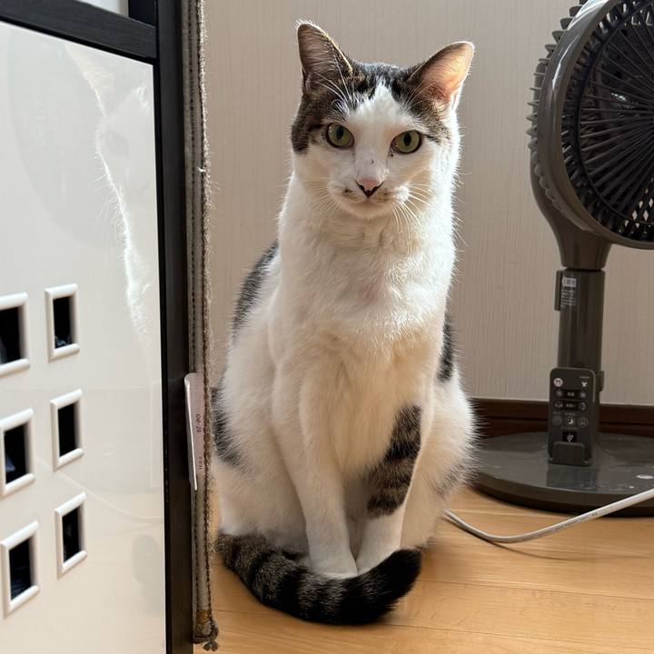 D911bd7c e046 49bb a872 df7fb1361e5e 1763172105482