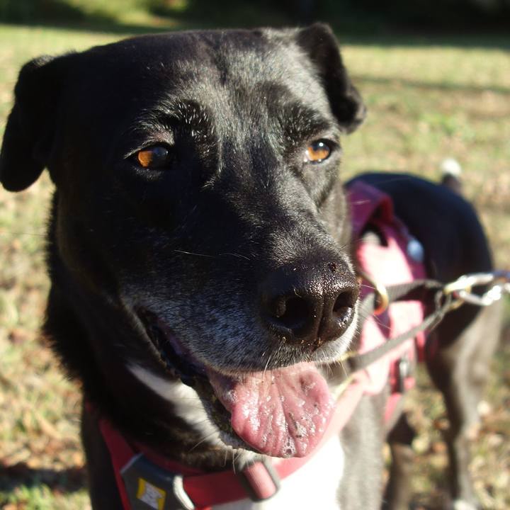 D912253a 0112 4822 92bb 20d6267bc7bd 1700351303962