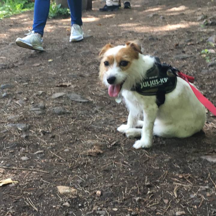 D9129e1b 4985 49c1 8283 93c159173fb0 1534425094389