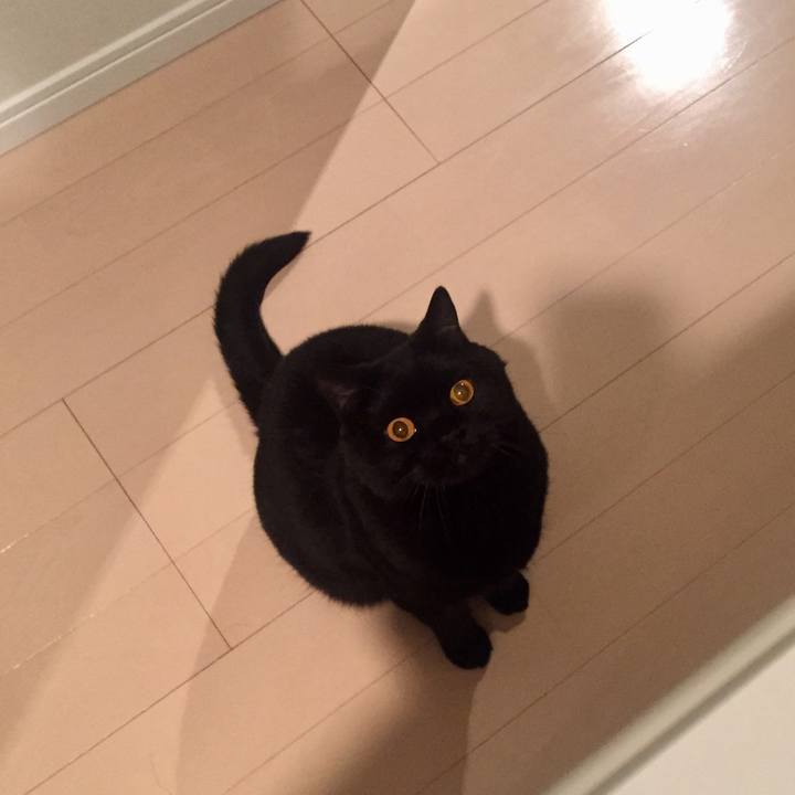 D912b4a6 b7db 4421 b09a 82fd9a63542a 1589198088264