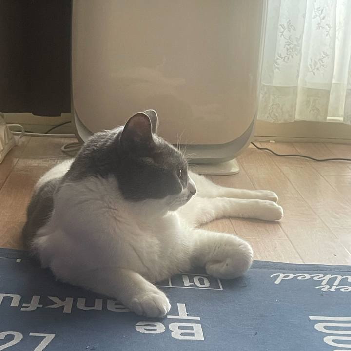 D912f2d4 c934 425b 99b8 77e8305c376a 1725662343357