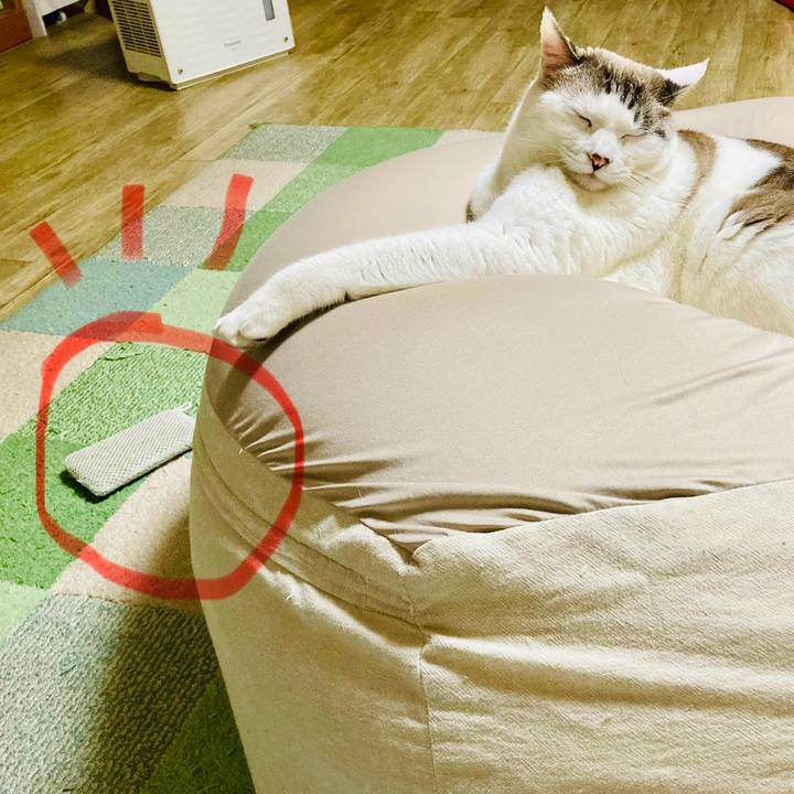 D91342c9 5f06 4475 b686 f0c21ccdf2d0 1705213729850