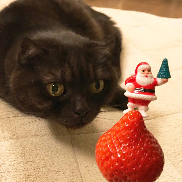 D91357e3 4877 4716 aaca 0329acb06cf3 1514211694937