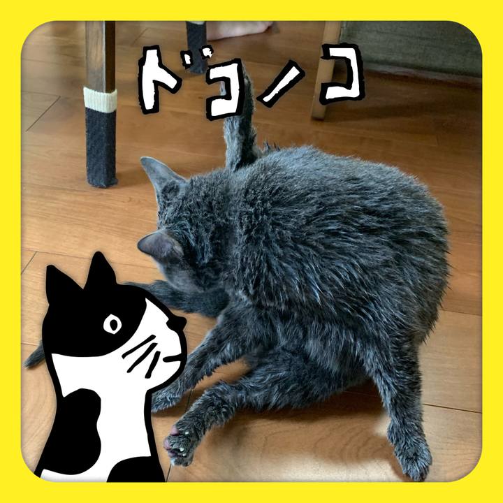 D9139086 6b63 4578 8a2f 0d6be923070a 1623069504325