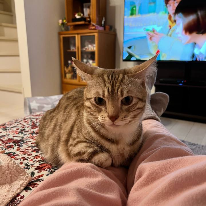 D913de2d 90c9 4abb 89b0 a85df2418f17 1677673854719