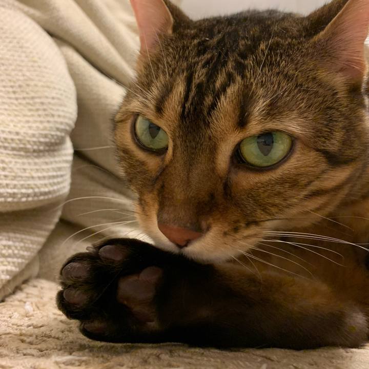 D913ec56 481e 4f2f 9cf6 29809fb8d80b 1589065657335