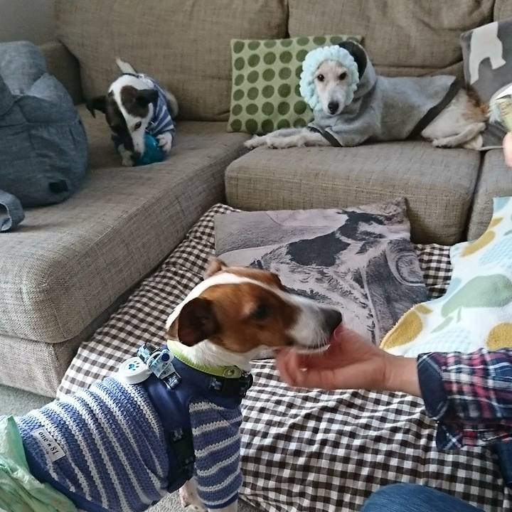 D913fac3 0536 4ec0 9263 45d3d8d172e7 1576655746381