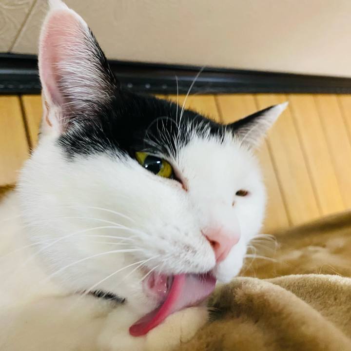 D9141293 21fa 4901 ac4a df844ae3cb85 1675950680773