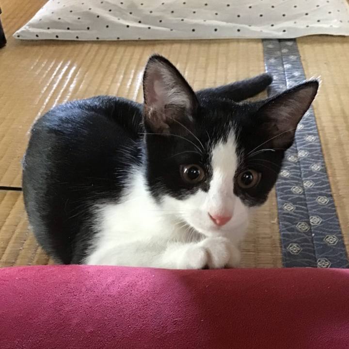 D91421af 48cd 43a0 8b10 cd86ebb0f189 1627192320023