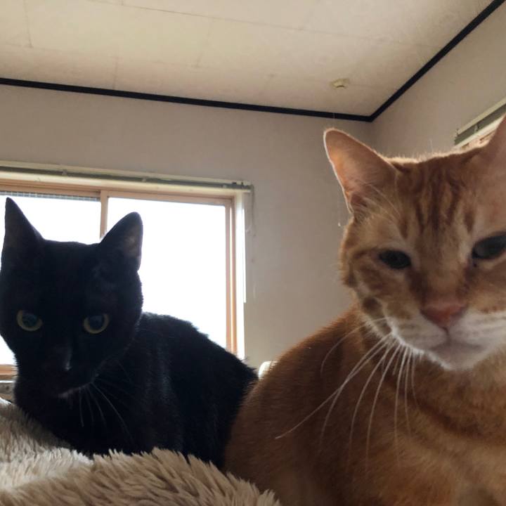 D9142d7d 5800 4faf 9ca1 514ef40589ec 1689369855194