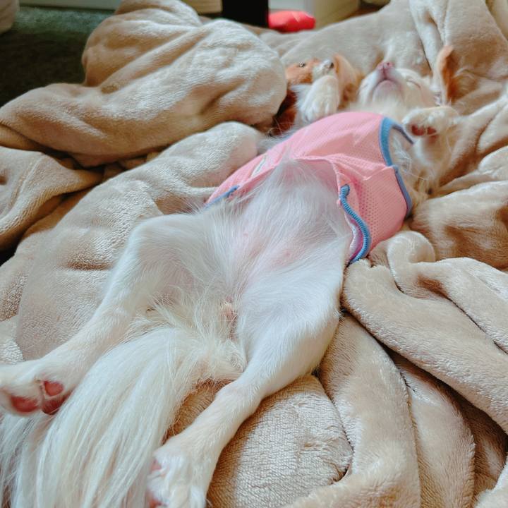 D91439fc 1d64 4064 8bd3 329a7cc676ed 1650942743343