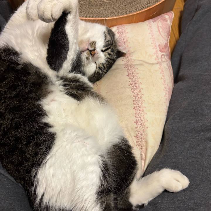 D9144211 593c 46e5 bda6 441301ae2acc 1764407246080