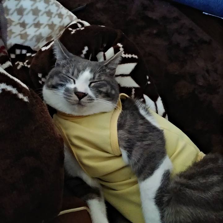 D9145463 f9a5 4d04 827c 7e9568b7562f 1585212125843