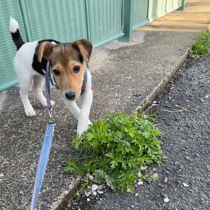 D9149b30 d50b 4986 b202 36e2a1436906 1744803993281