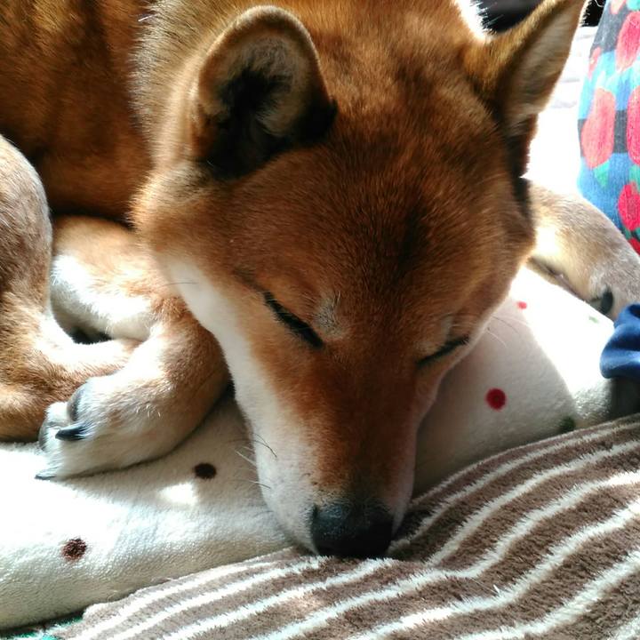 D9149d75 7721 425b b423 9f72caa8843e 1521082992900