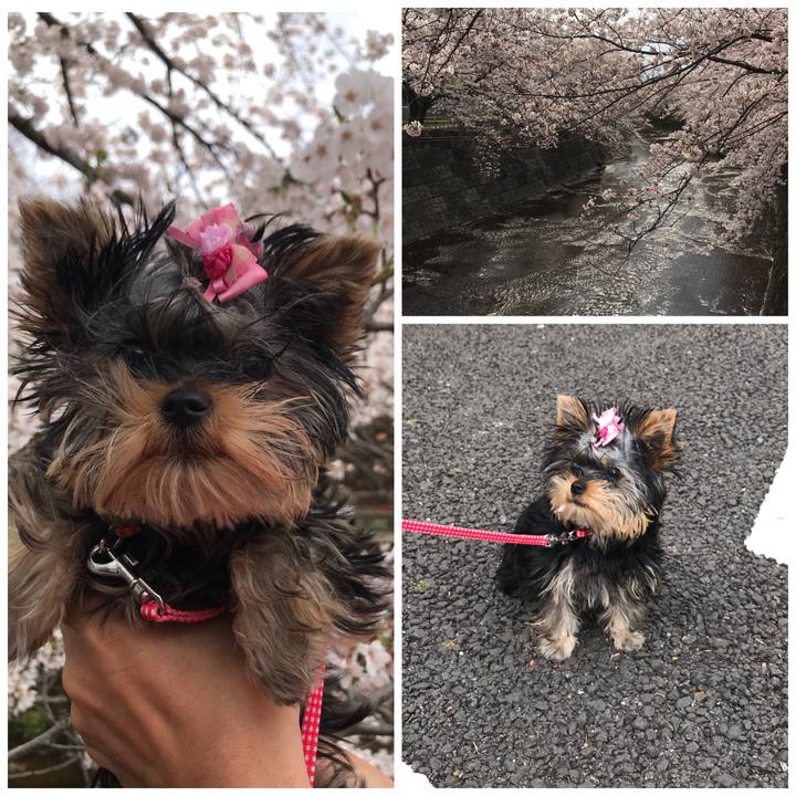 D914a7cc 49c6 49da ac18 9f6acf57f4ee 1616899498852