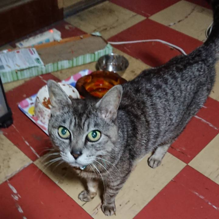 D914e501 026e 4f93 829e 21d3a57dad58 1562358504787