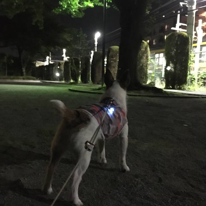 D9153fe8 584c 41c2 bae1 e490300d6692 1656460021959