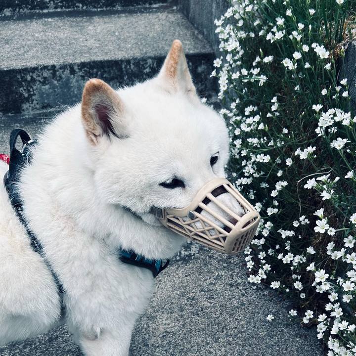 D91550ec e507 4243 bb8a ab7d14284578 1747689462104