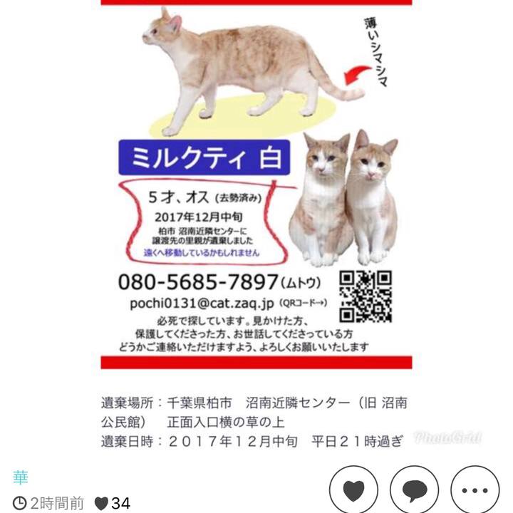 D9156667 bff1 4fb0 9993 65f45248f6cf 1537960862198