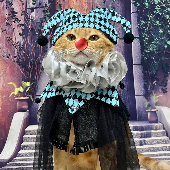 D9157a0c fee6 4c6a 9f19 4627289af5da 1690850747473