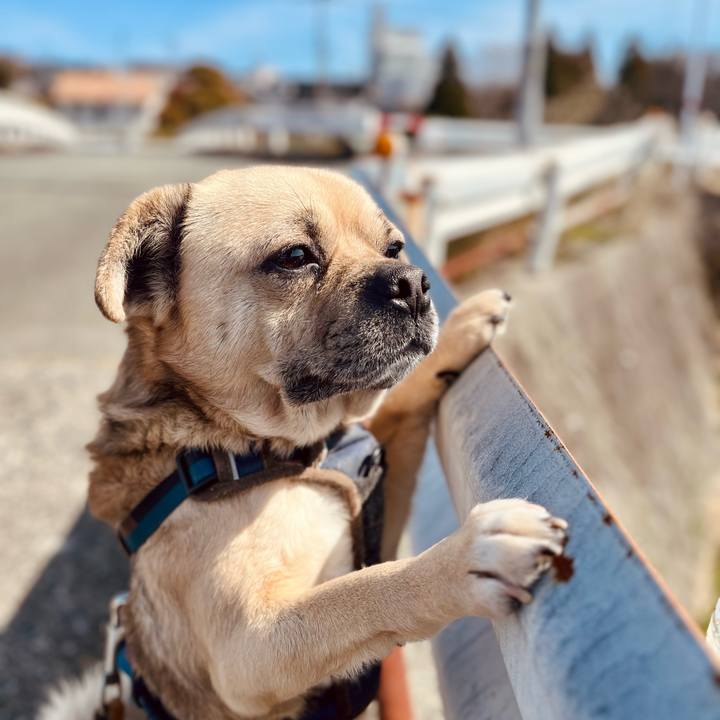 D9159fdc bfd0 48ae b569 3001787aa71e 1772254687046