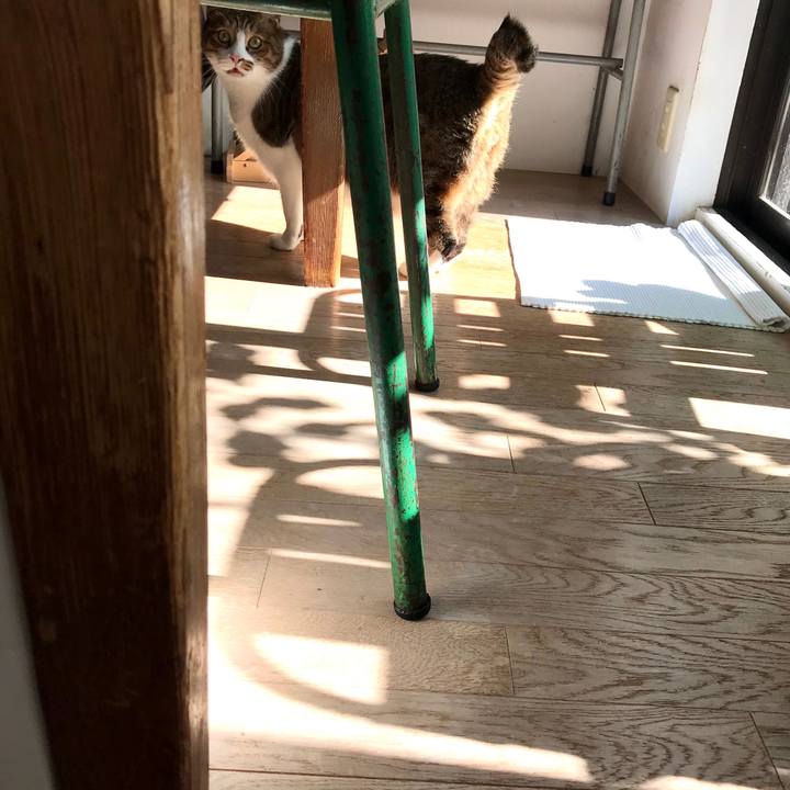 D915f9aa 32a8 44f4 a9c5 9d724baf8a1a 1574994881416