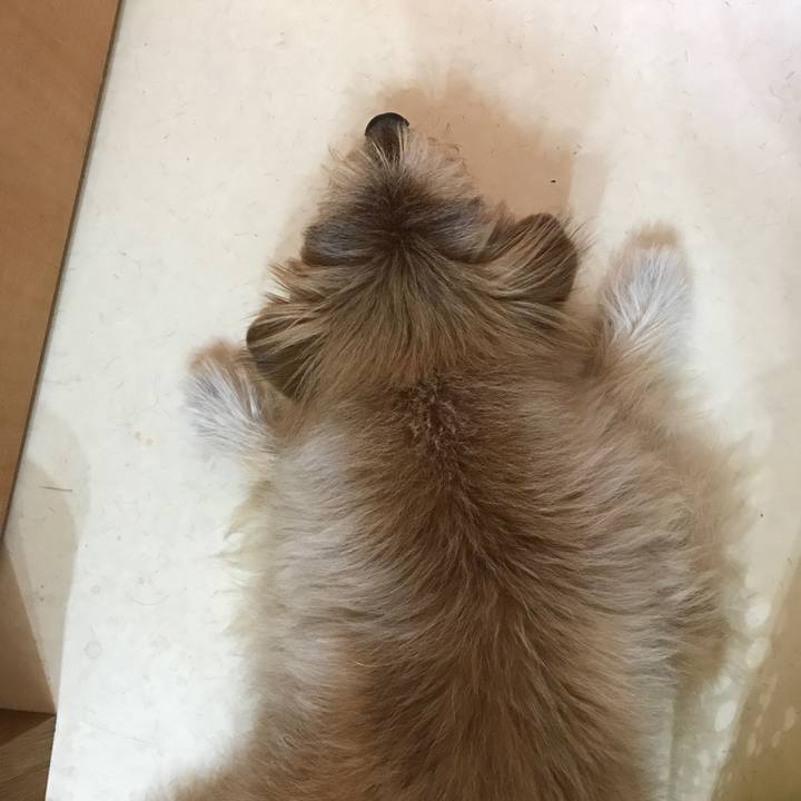 D915ff18 3474 4df1 b4f8 76bd742cba5b 1542164220450