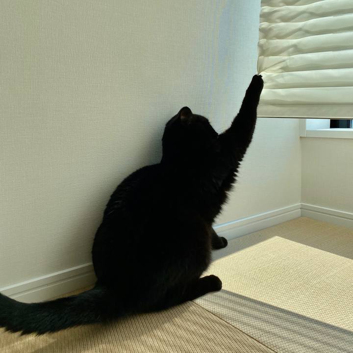 D9164b91 b839 4569 ae14 232df8759cf8 1600052258722