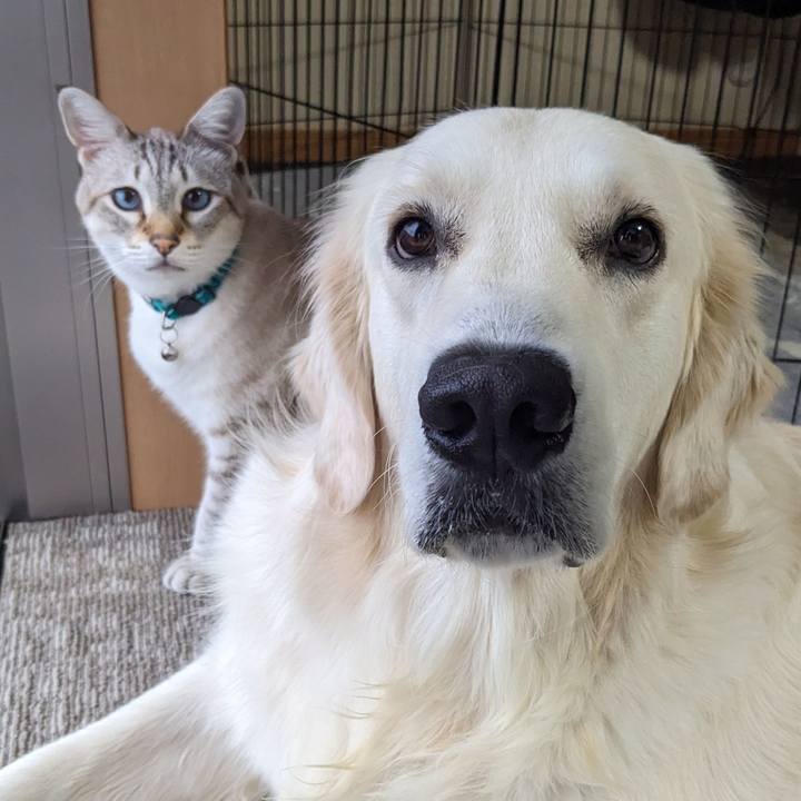 D917607d f3fd 4d31 8697 6bf8ad9d8521 1759615816097