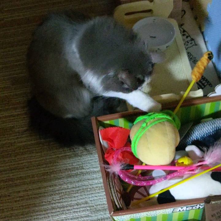 D9176dde 9513 4d76 b323 87c61c767e09 1611140018905