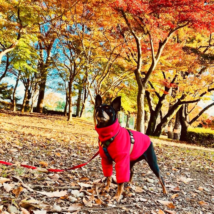 D9177be7 bb46 4b18 a09c 2b0b0da659a0 1733838618649