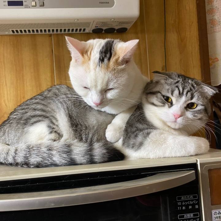 D917a265 f04f 48b8 839b 6d7fca2061fe 1612476240441