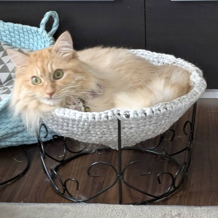 D917dab3 4f8c 4ac8 81da 9d06b43e3d01 1752818230586