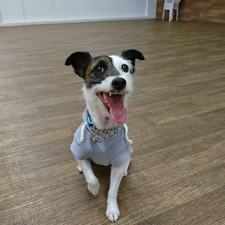 D917e33d 0087 42cc abd1 0daf677f3555 1549195997398