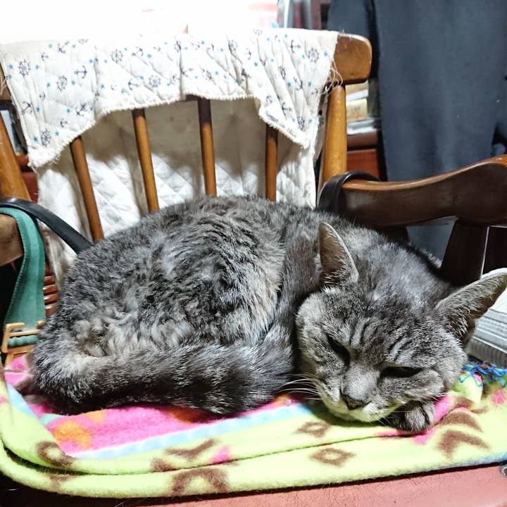 D917e4cc 841d 4176 b11d 662143b03b53 1578865575756