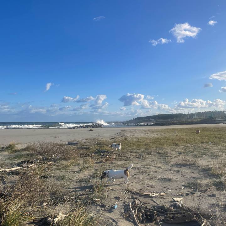 D917f77c dc57 4952 b6ac 510489413dc4 1697499291447