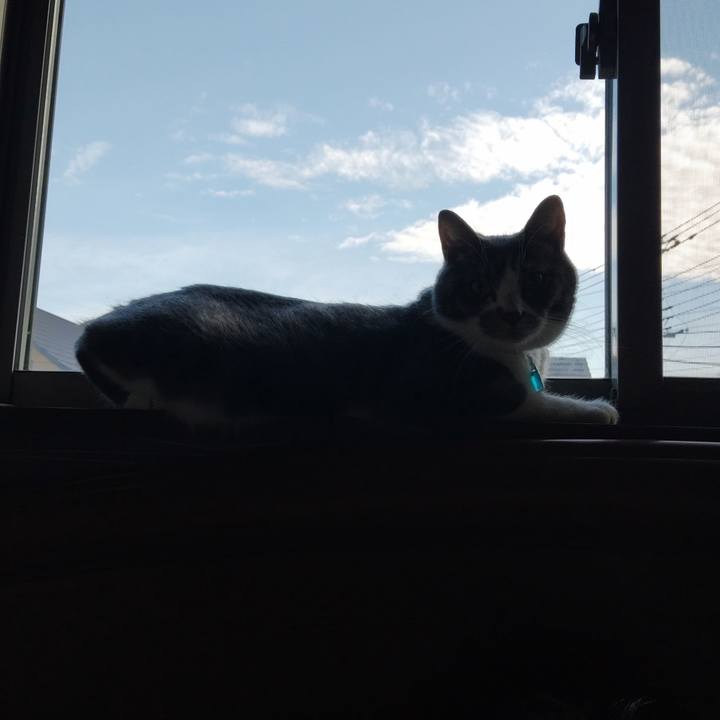 D9183b5e 1020 4c64 9afb c52fc34c5b74 1659309934151