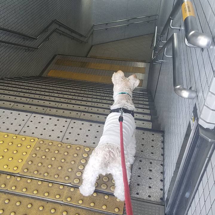 D9187027 51d9 4987 a662 914ede1868a1 1593214249654