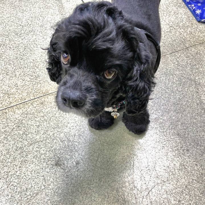 D918729c b4d7 460b 86f2 a734ad70d9e0 1599390768507