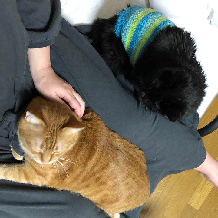 D91879e5 35ce 4bb2 927a 5975ca15075d 1611924287141