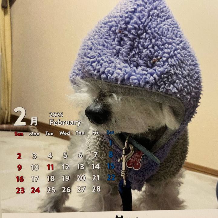 D918814e 67ee 492a ac52 2e967433531c 1739769198742